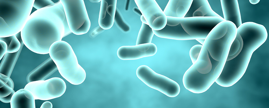 Legionella Analysis 
